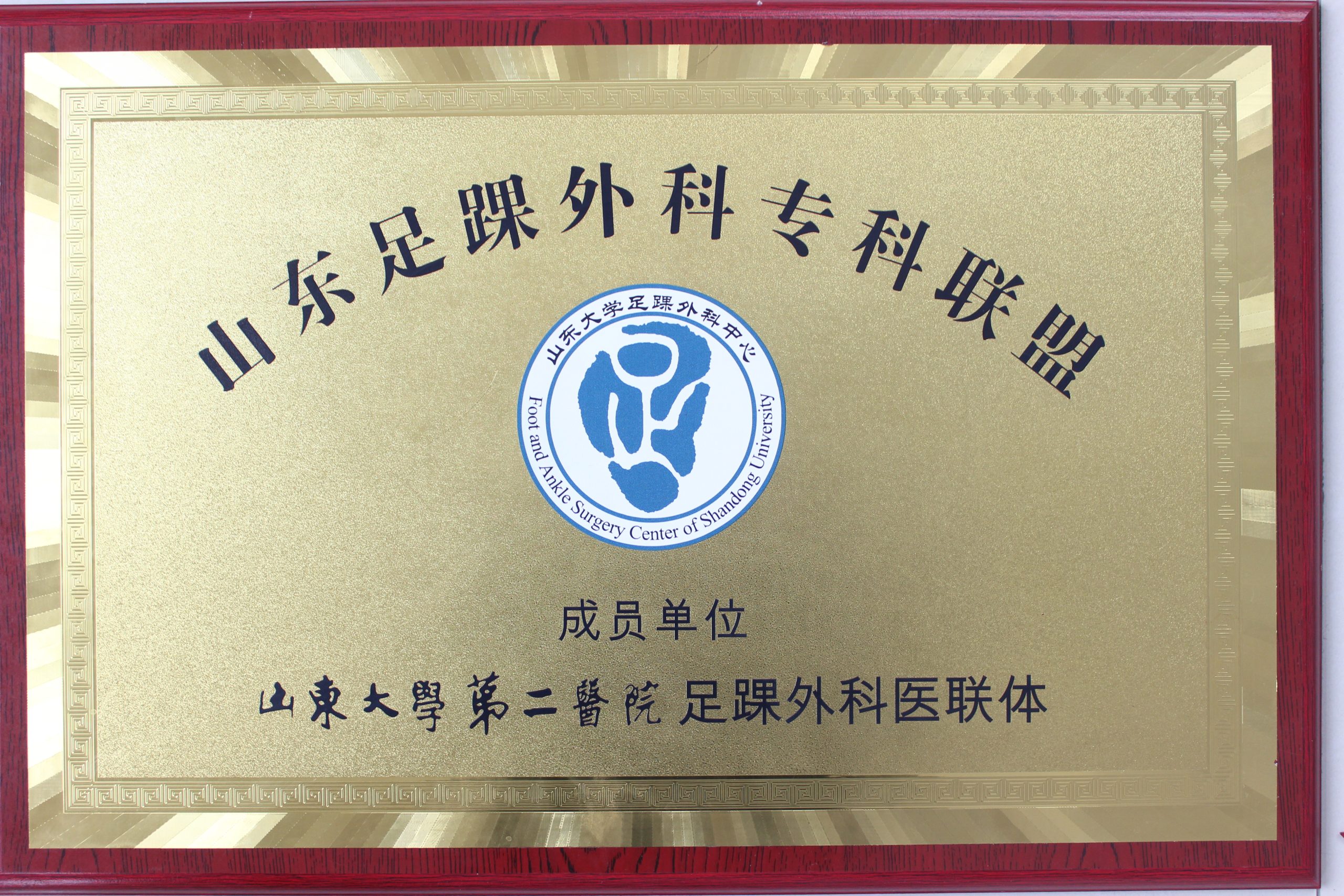山东足踝外科专科联盟成员单位
