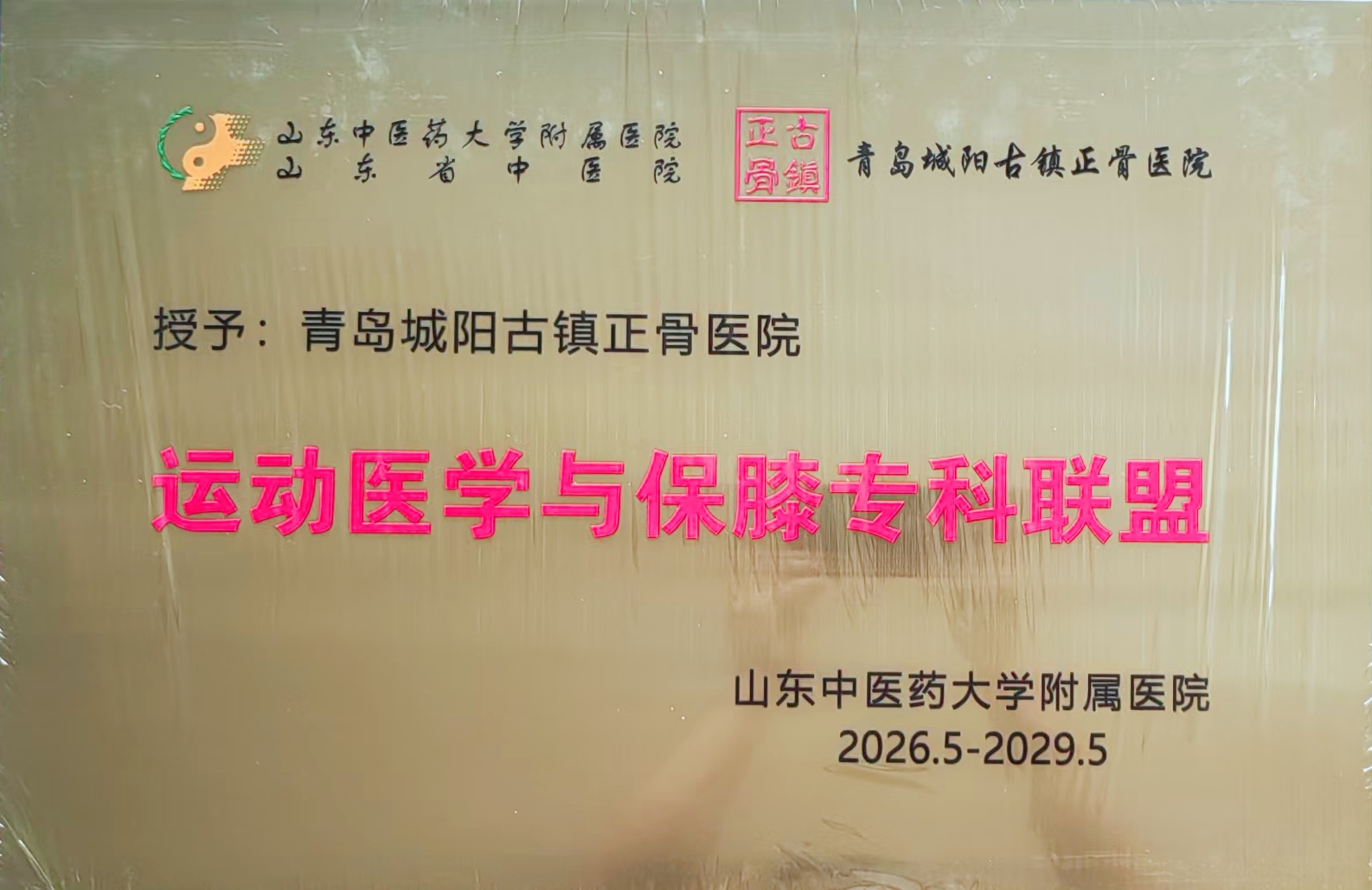 山东中医药大学附属医院运动医学与保膝专科联盟